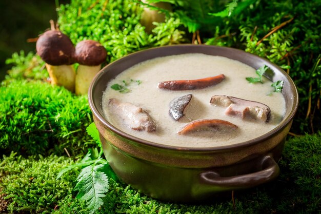 Soupe aux champignons prête à manger à base de champignons nobles