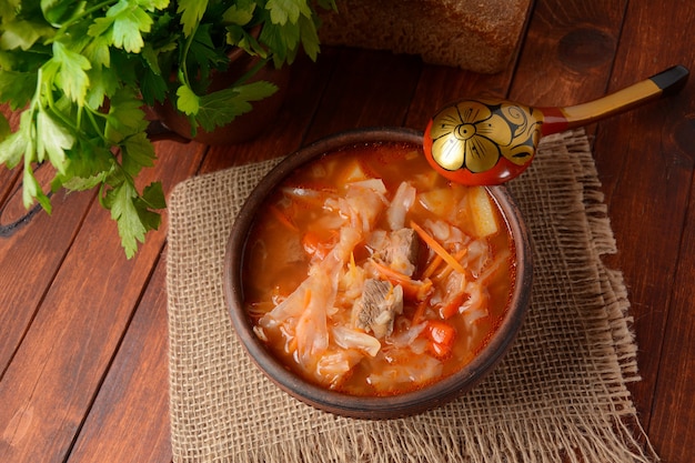 Soupe aux choux avec de la viande. Plat traditionnel russe (Shchi)