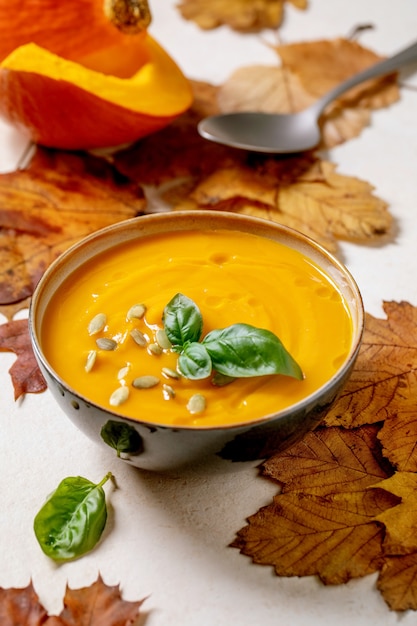 Soupe à la citrouille ou aux carottes