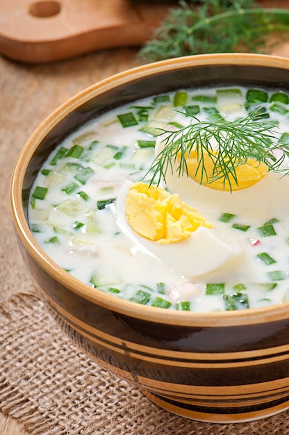 Soupe froide de kéfir de légumes aux œufs et aux légumes verts