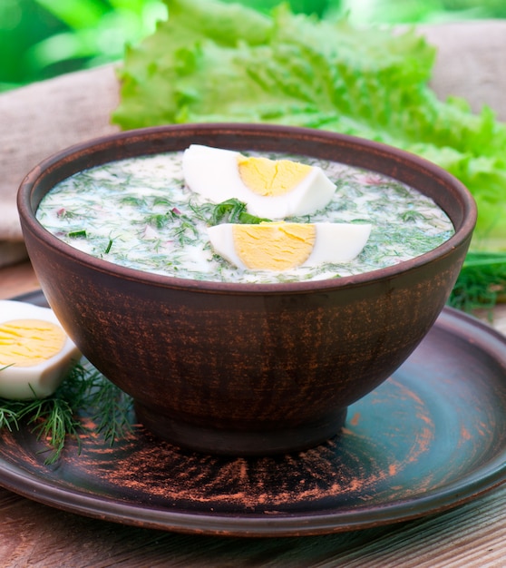 Soupe froide de kéfir de légumes aux œufs et aux légumes verts