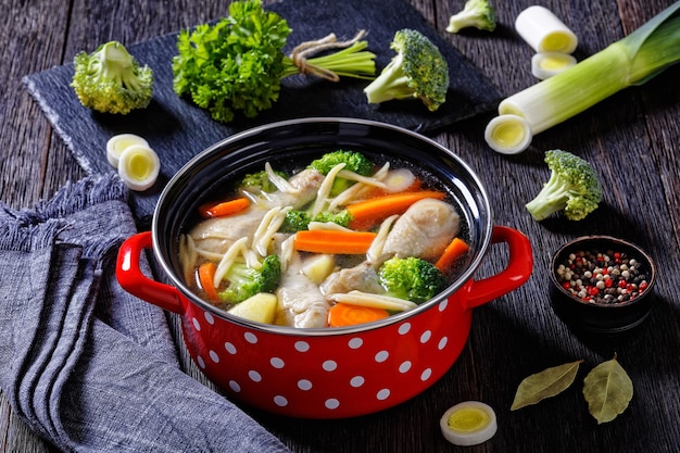 Soupe de légumes au poulet avec des pâtes en pot rouge