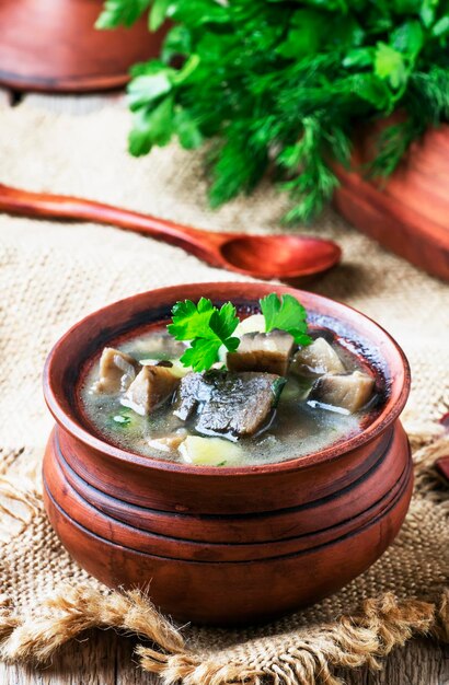 Soupe maison avec pommes de terre à la viande champignons forestiers et champignons vintage fond en bois mise au point sélective