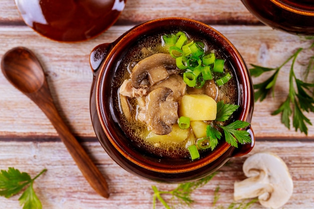 Soupe de pomme de terre, champignons et viande en pot d'argile