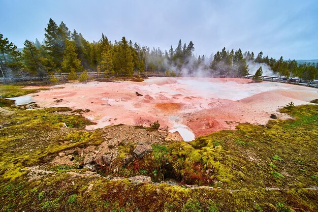 Source vibrante à Yellowstone avec de la vapeur de soufre