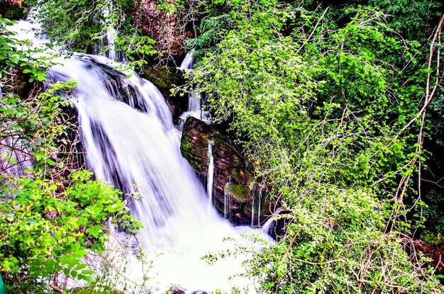 Sources de la naissance de la rivière Llobregat à Castellar de N'hug, Barcelone, Espagne.