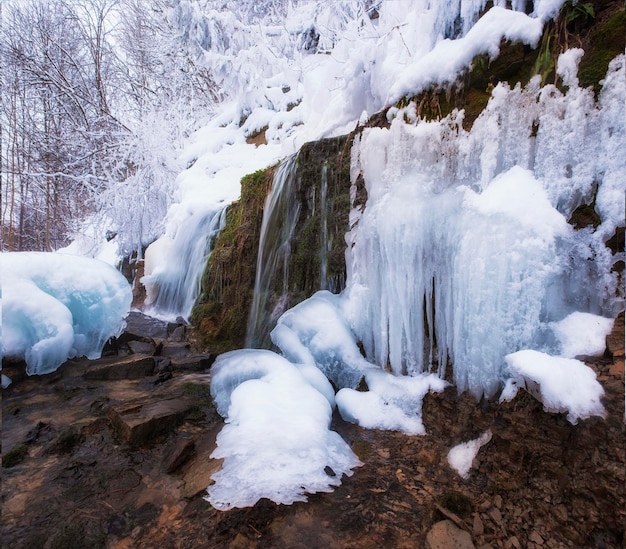 Sources slovènes non gelées à Izborsk en hiver, région de Pskov