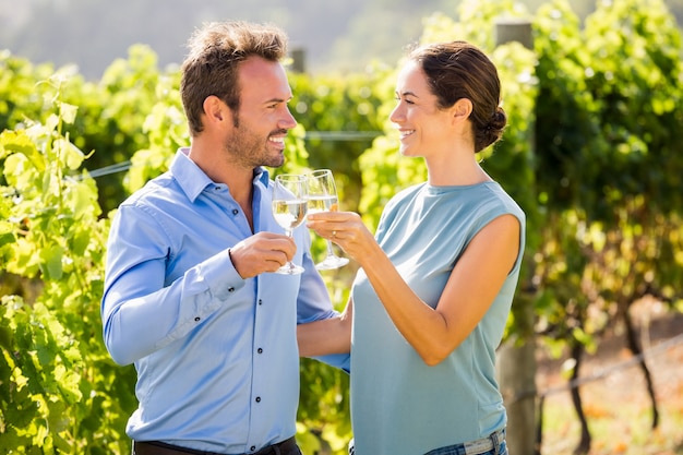 Souriant couple portant un verre à vin au vignoble