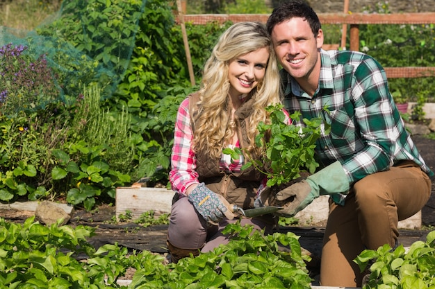 Souriant jeune couple crouchng dans leur jardin tenant une plante