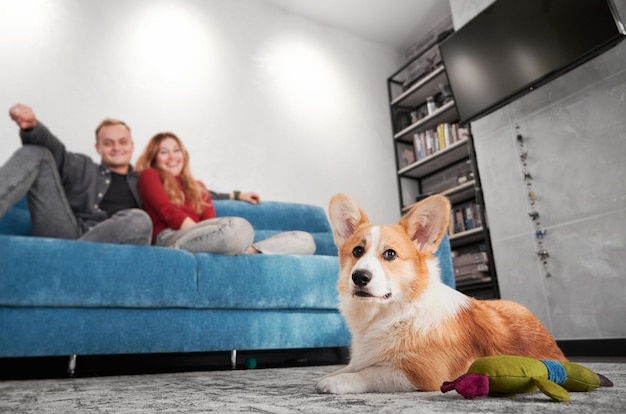 Souriant jeune couple reposant sur un canapé à la maison avec un chien