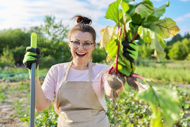 Souriante femme jardinière agricultrice en tablier avec des légumes de betterave fraîche déterrés. Potager d'arrière-cour, culture de légumes biologiques naturels, passe-temps et loisirs, concept d'alimentation saine