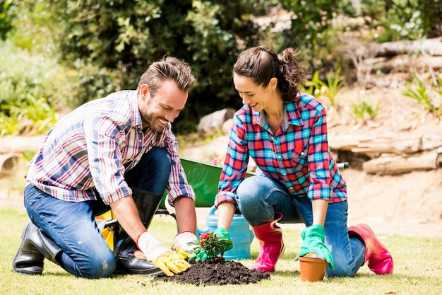 Sourire, couple, planter, pelouse