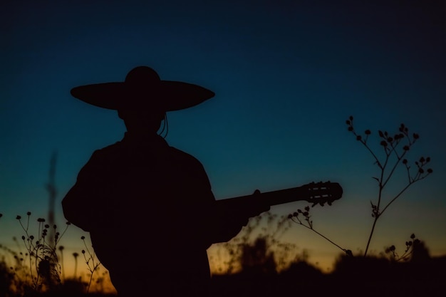 Sous le ciel au milieu des prairies, une personne heureuse gratte une guitare