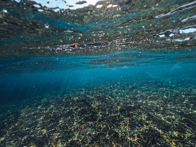 Sous l'eau à la plage de l'île