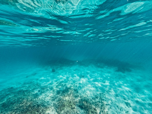 Sous l'eau à la plage de l'île