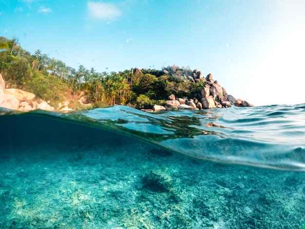 Sous la mer et la baie de Koh Tao