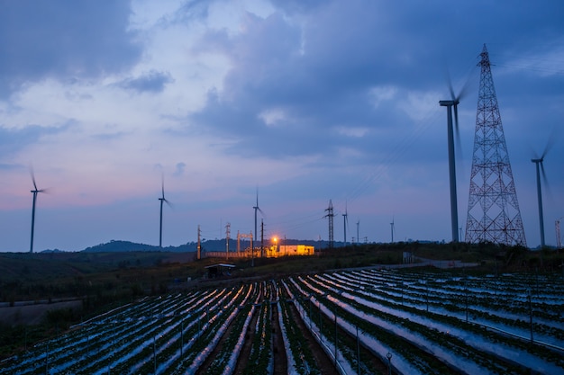 Sous-station haute tension et moulin à vent avec ciel bleu de champ de fraises au coucher du soleil.