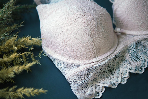 Soutien-gorge en dentelle de coton rose. Lingerie féminine gros plan sur fond noir près de l'herbe de la pampa. sous-vêtements à la mode. Tissu doux naturel