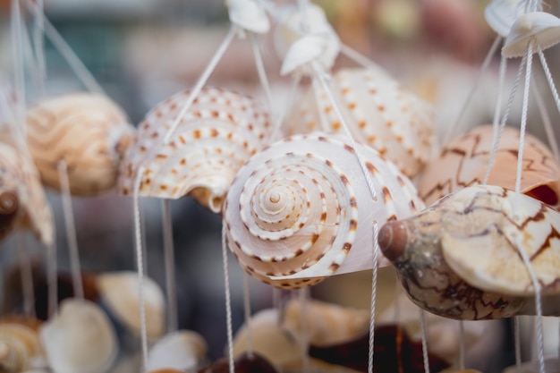 Souvenir fait main décoré de différents coquillages