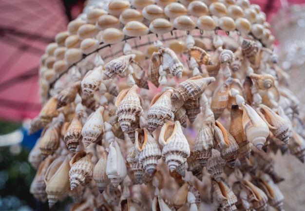 Souvenir fait main décoré de différents coquillages