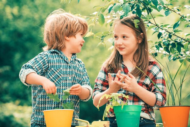 Souvenirs d'enfance Enfants s'amusant dans le champ sur fond vert