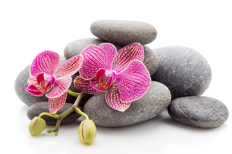 Spa masage pierres et orchidée isolé sur le blanc.