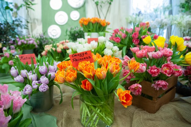 Spectacle de fleurs Chic bouquet de tulipes orange variété Orange Princess et Katinka printemps été fond