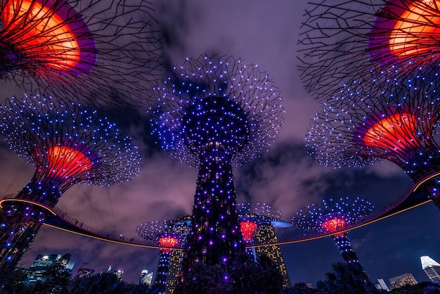 Le spectacle son et lumière de Supertree Grove dans le jardin près de la baie la nuit, Singapour.