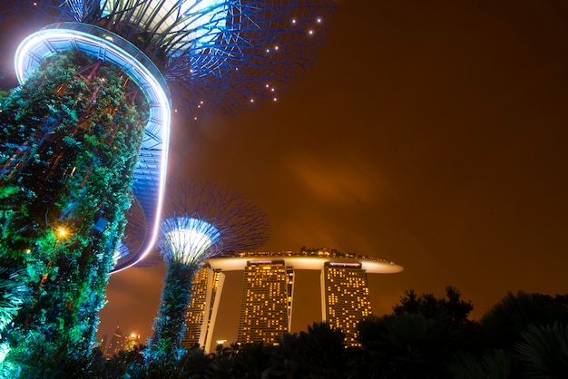 Spectacle de Super Trees Grove au Gardens by the Bay pendant la nuit