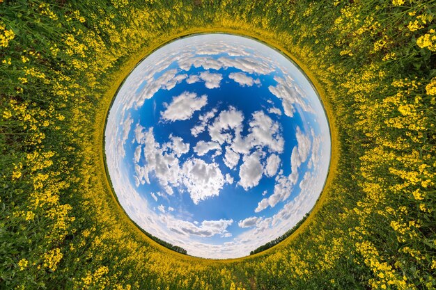 Sphère bleue inversée vue sur la petite planète du champ de colza en fleurs jaunes vue sur le tunnel rond