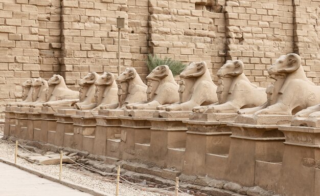 Sphinx dans le temple de Karnak Louxor Egypte