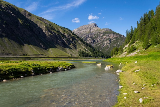 Spol River qui coule dans le lac Livigno Corno Brusadella Mountain background