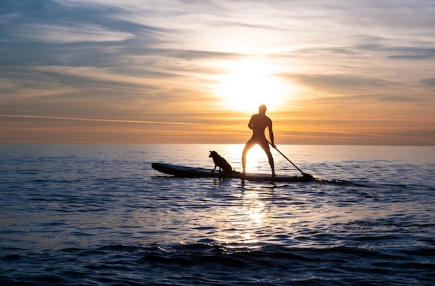 Un sportif nage avec un chien sur une planche dans la mer sous le beau coucher de soleil