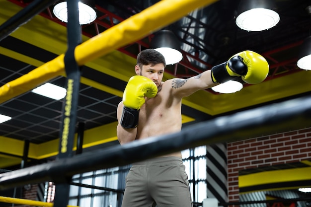 Sportif Recueilli Dans La Salle De Boxe Pratiquant Des Coups De Poing De Boxe Pendant L'entraînement