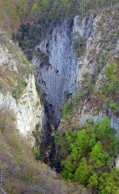 Spring Great Crimean Canyon vue sur la montagne avec des pins et sur la pente