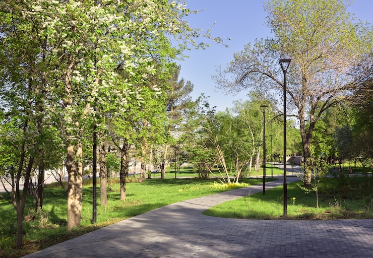 Photo spring park sur la digue