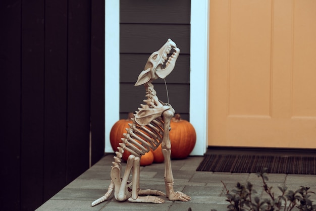 Photo squelette d'halloween de chien effrayant. décoration d'halloween avec des squelettes et des citrouilles.