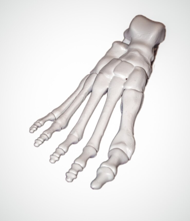 Photo squelette de pied humain prototype blanc imprimé sur imprimante 3d. isolé sur fond blanc. modélisation des dépôts fondus, fdm. technologie additive moderne et progressive. concept de la révolution industrielle 4.0