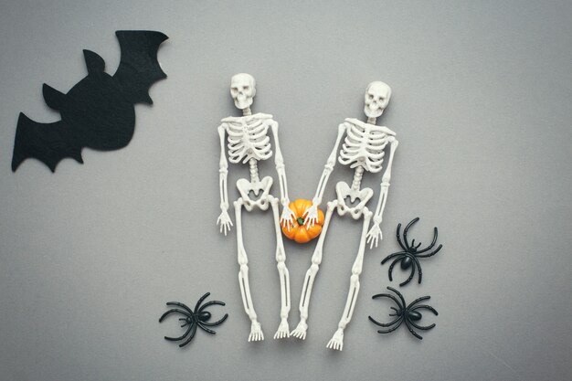 Squelettes avec citrouille chauve-souris et araignées noires sur fond gris