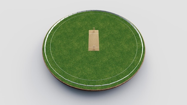 stade de cricket terrain de cricket terrain de jeu de sport herbe stade cercle sol Outfield Illustration 3D