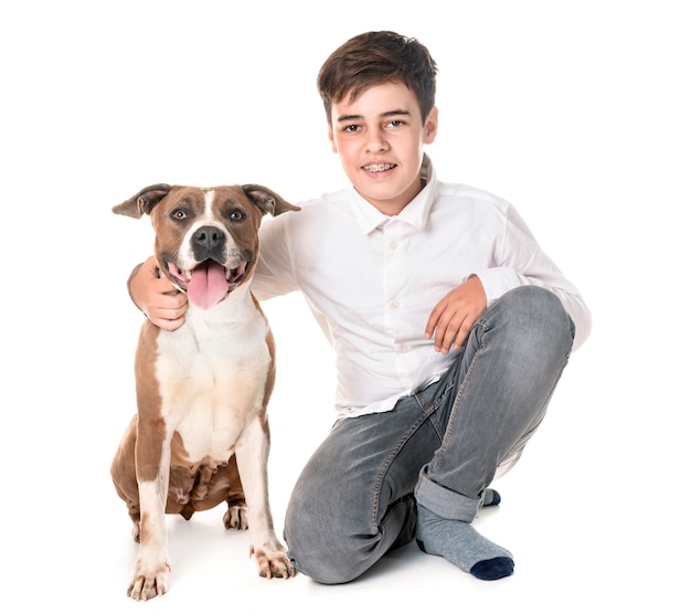 Staffordshire Terrier américain et adolescent