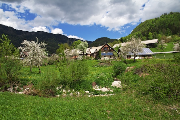 Stara Fuzina dans les Alpes de Slovénie