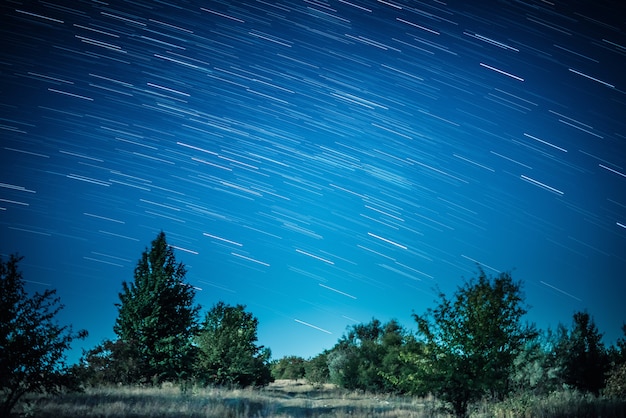 Startrails colorés au-dessus de la sombre forêt sombre