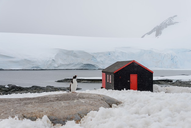 Station antarctique de Port Lockroy