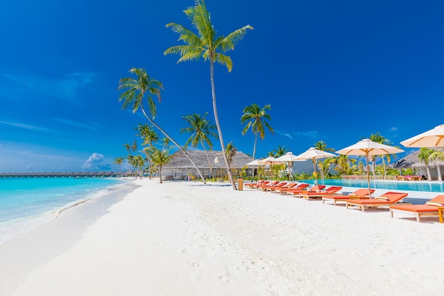 Station balnéaire luxueuse, piscine relaxante et chaises de plage ou chaises longues sous les parasols palmiers
