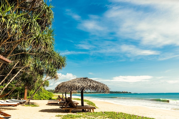 Station balnéaire tropicale avec transats et parasols sur la plage de l'océan Sri Lanka