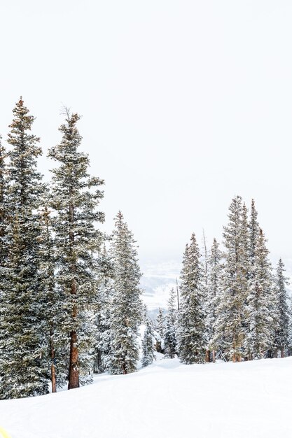 Station de ski à la fin de la saison après la tempête de neige dans le Colorado.