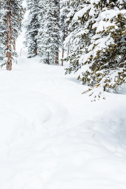 Station de ski à la fin de la saison après la tempête de neige dans le Colorado.