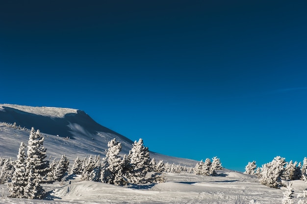 Station de ski Sheregesh, district de Tashtagol, région de Kemerovo, Russie