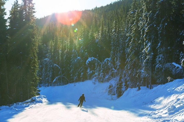 Station de ski